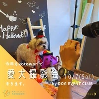 画像342