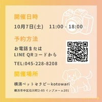 画像343