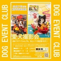 画像344