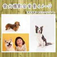 画像348
