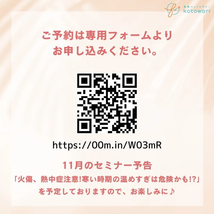 画像354