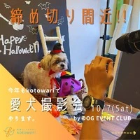 画像362