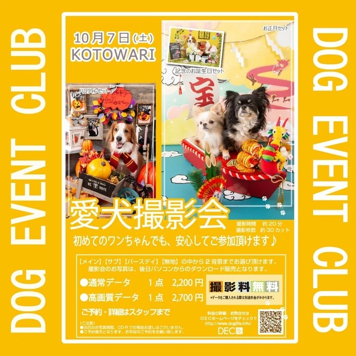 画像364