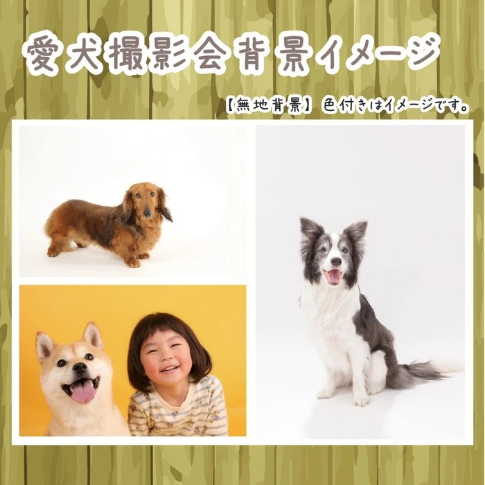 画像368