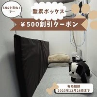 画像400