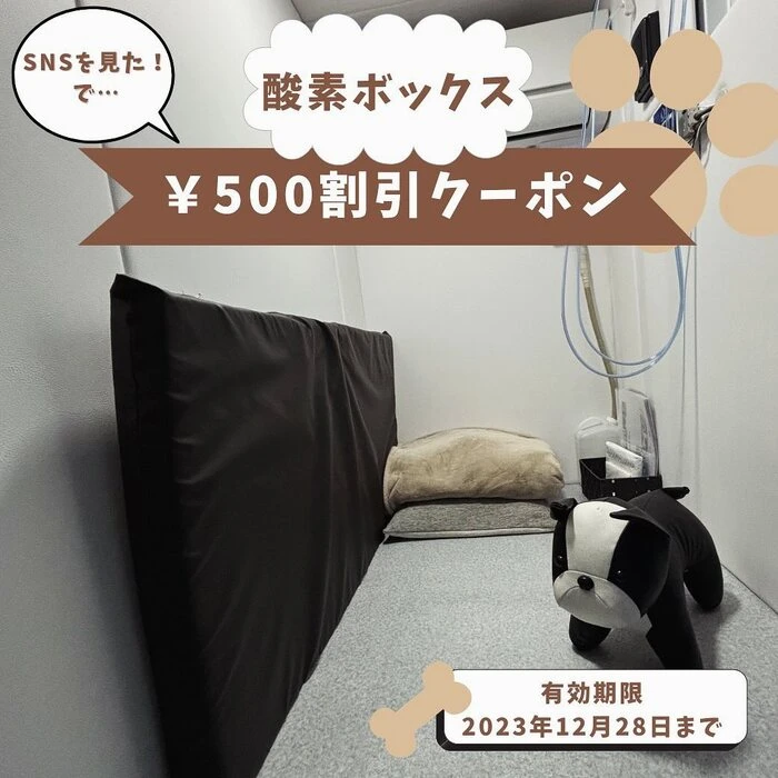 画像400