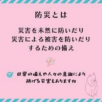 画像405