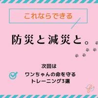 画像408