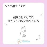 画像418