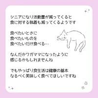 画像419