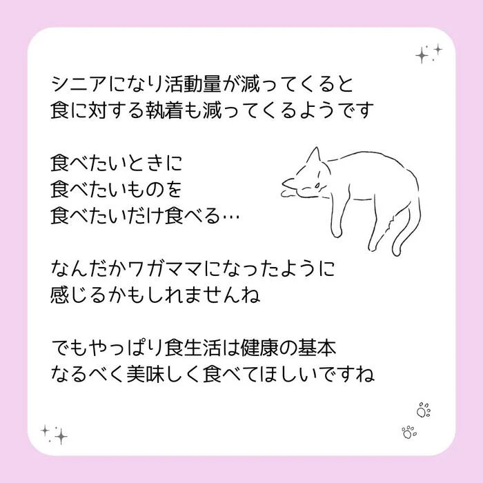画像419