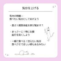画像423