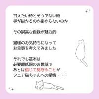 画像424
