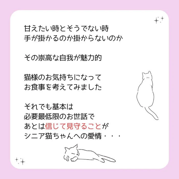 画像424