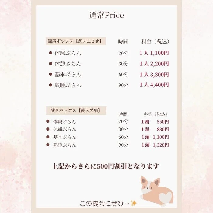 画像429
