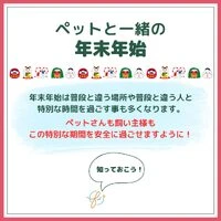 画像432