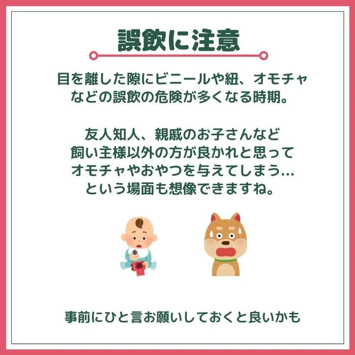 画像433