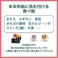 画像434