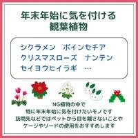 画像435