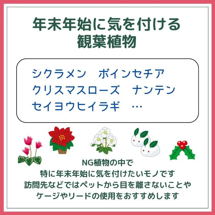 画像435