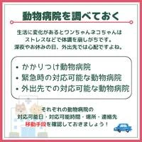 画像436