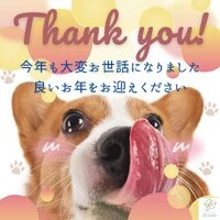 画像442