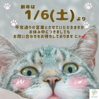 画像443