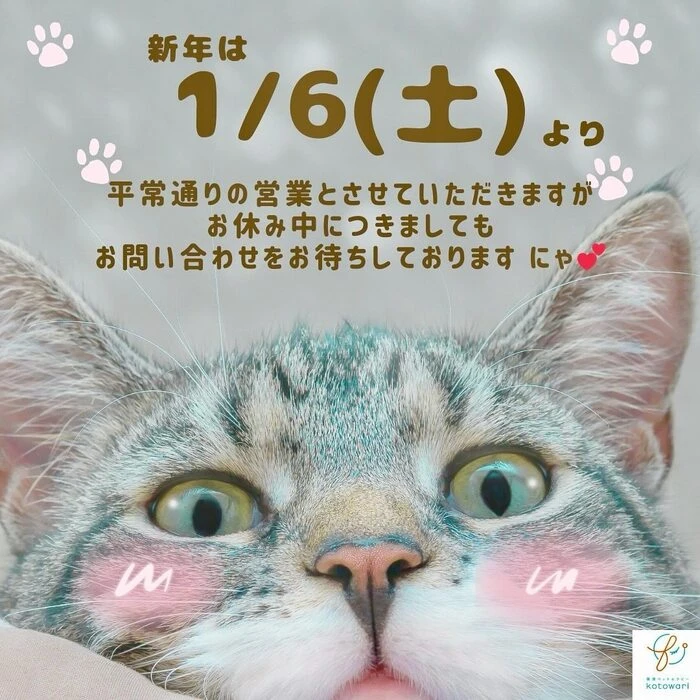 画像443