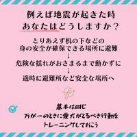 画像446