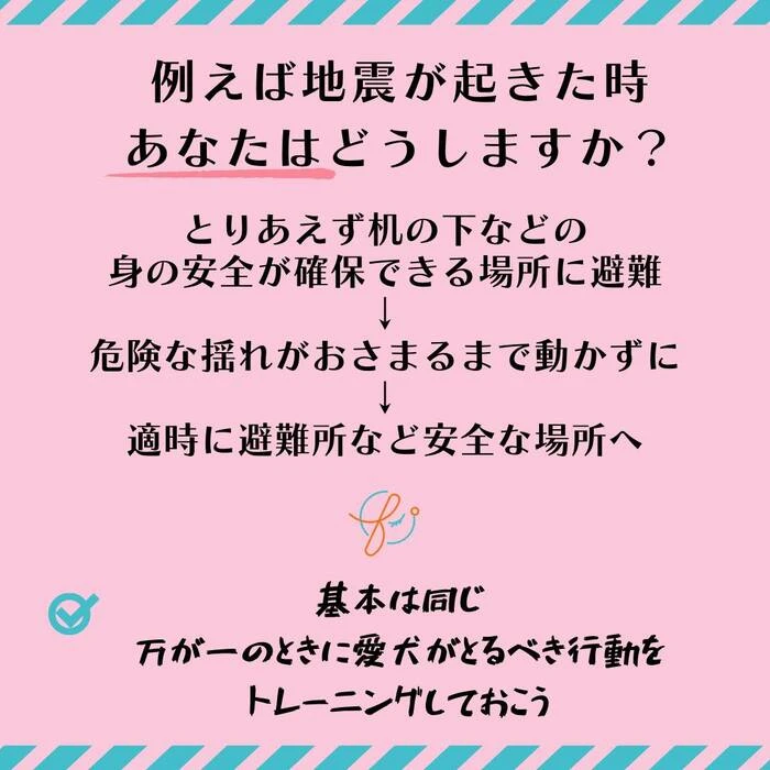 画像446