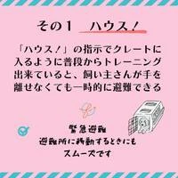 画像447