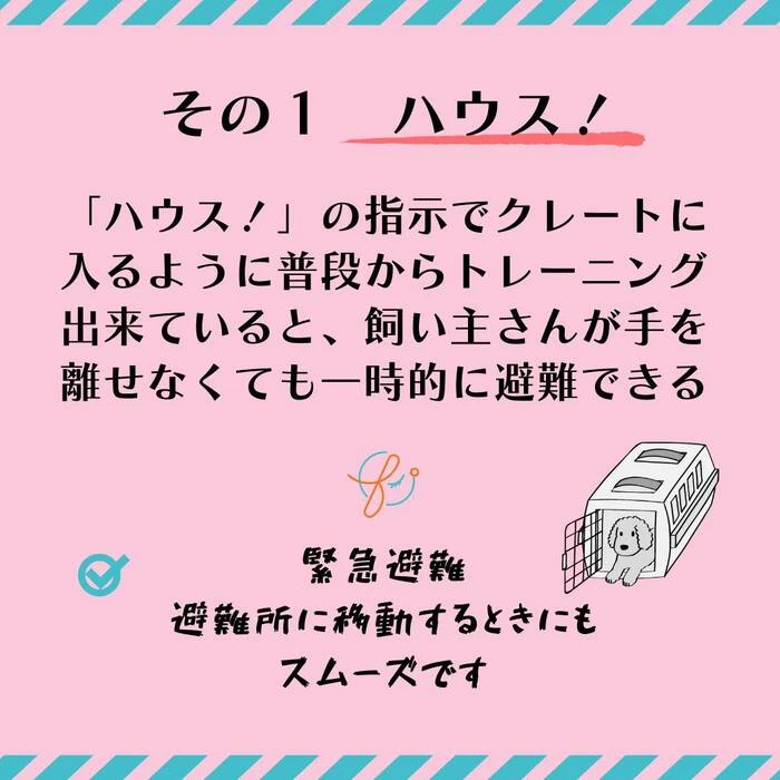 画像447