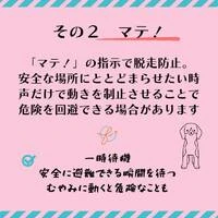 画像448
