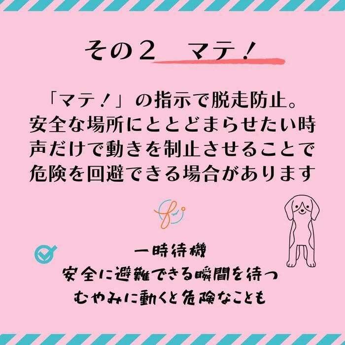画像448