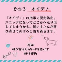 画像449