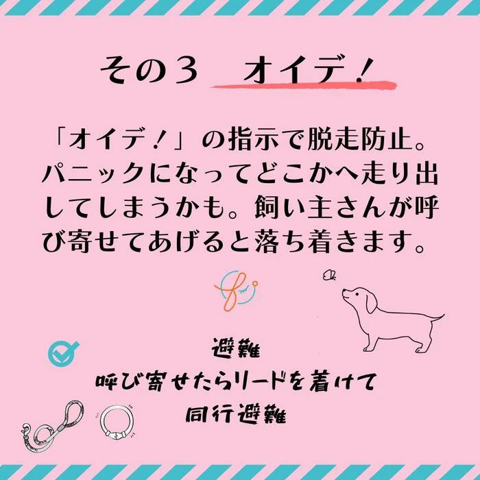 画像449