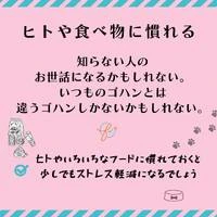 画像450