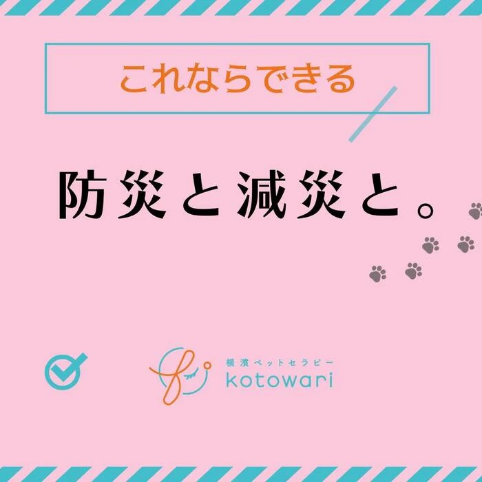 画像451
