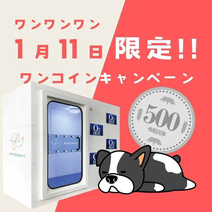 画像453