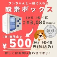 画像454