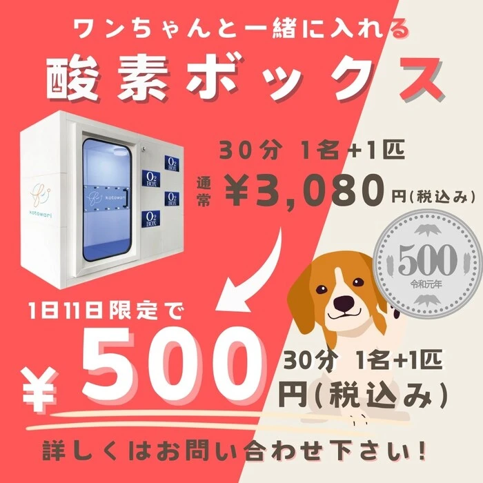 画像454