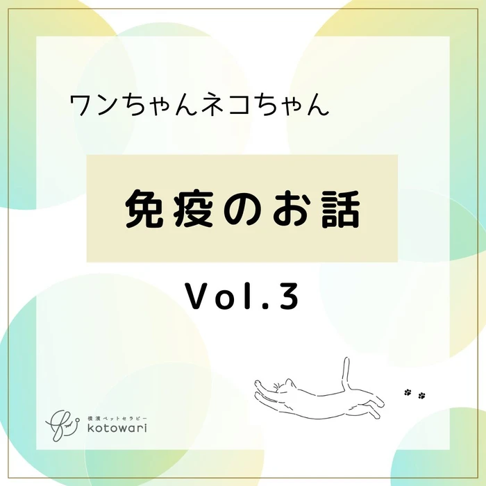 画像456