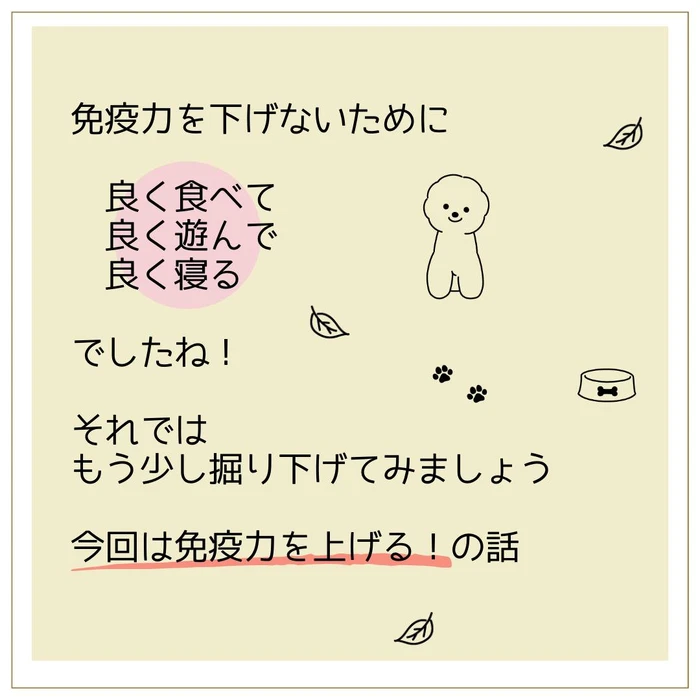 画像457