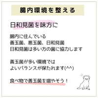 画像458