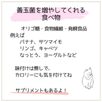 画像459