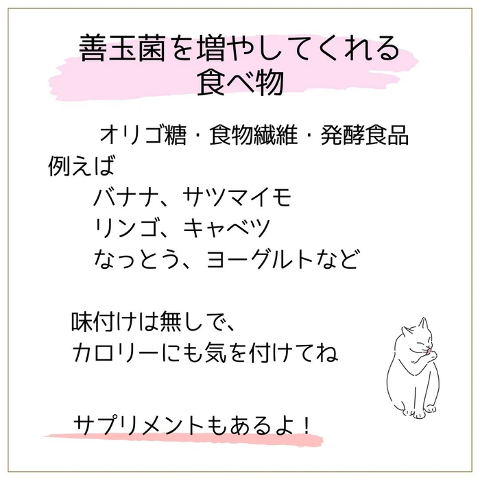 画像459