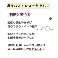 画像460