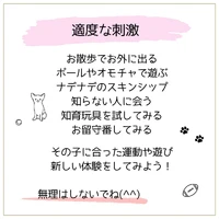 画像461