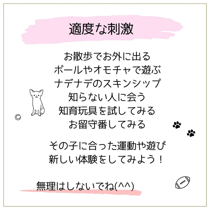 画像461