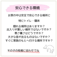 画像462